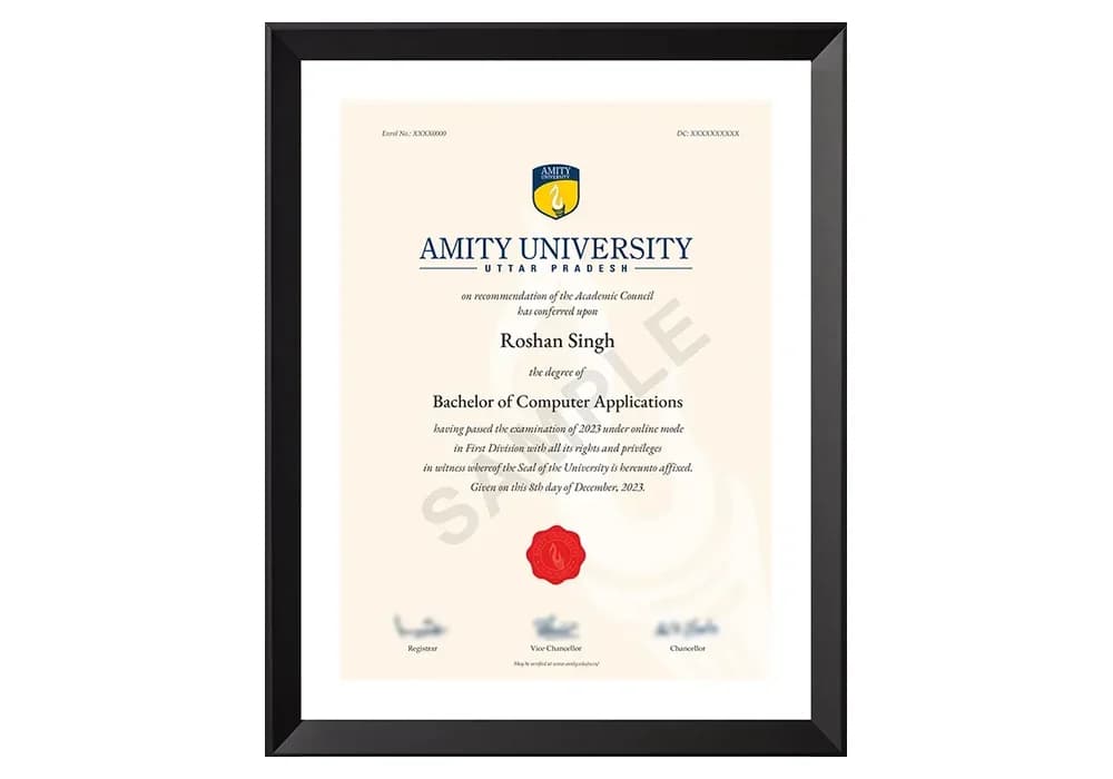 Online BCA sample degree certificate